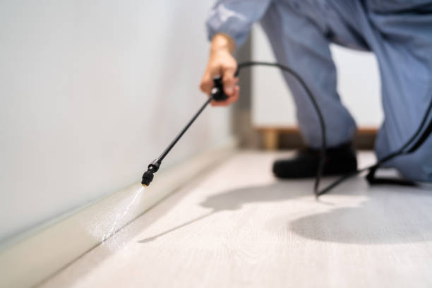 Bed Bug Pre-Treatment Preparation Assessment in Carnegie