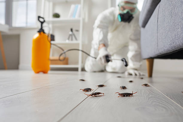 Post-Treatment Bed Bug Interceptor Monitoring in Carnegie