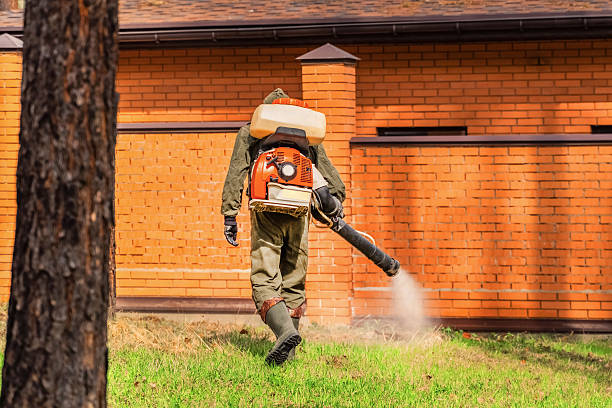 Bed Bug Clearance Verification and Documentation in Carnegie